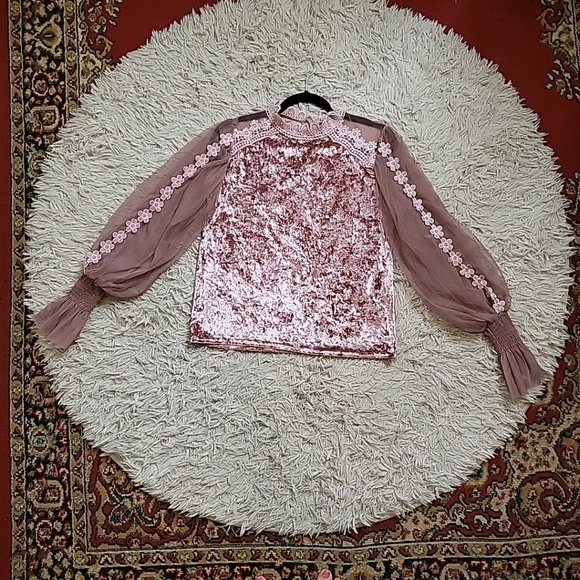Tops - Pink Crushed Velvet Blouse Sheer Mesh Coquette Cottagecore Floral Lace Romantic